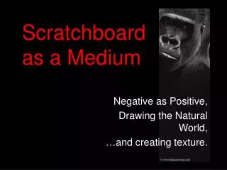 Scratchboard as a Medium