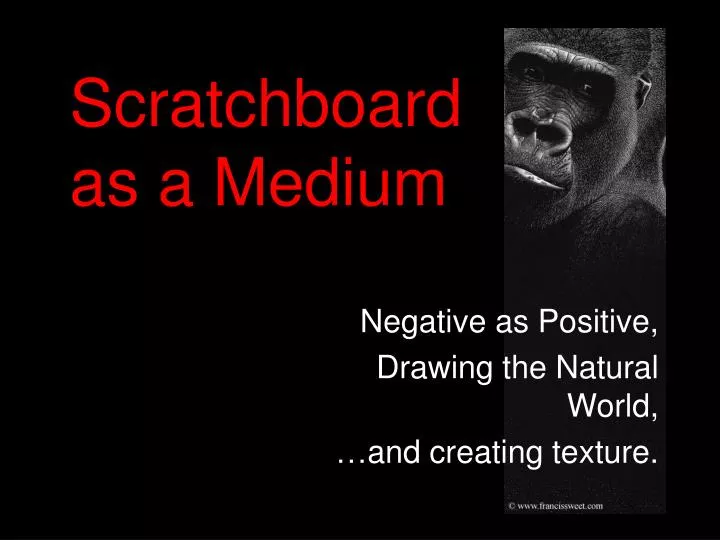 scratchboard as a medium