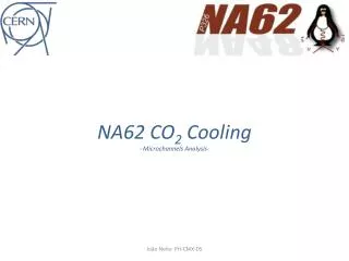 NA62 CO 2 Cooling - Microchannels Analysis-