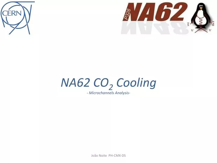 na62 co 2 cooling microchannels analysis