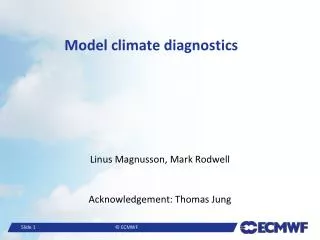 Model climate diagnostics