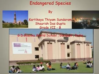 Endangered Species By Kartikeya Thiyam Sundaram Shaurish Das Gupta Grade VII - B