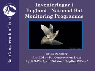 inventeringar i england national bat monitoring programme