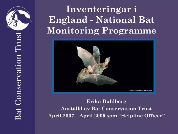 inventeringar i england national bat monitoring programme