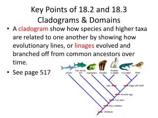 Key Points of 18.2 and 18.3 Cladograms &amp; Domains