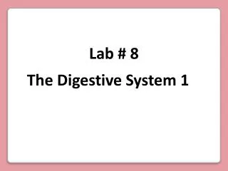 The Digestive System 1