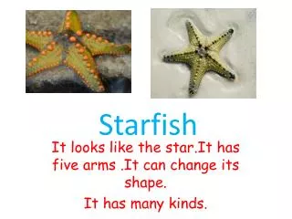 It looks like the star.It has five arms .It can change its shape. It has many kinds.