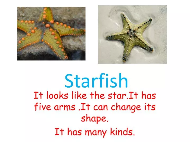 it looks like the star it has five arms it can change its shape it has many kinds