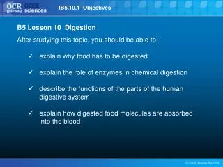 B5 Lesson 10 Digestion