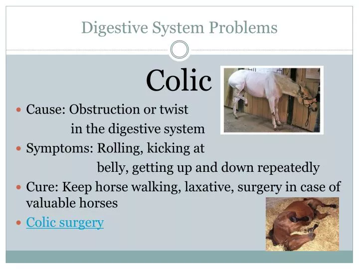 digestive system problems