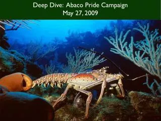 Deep Dive: Abaco Pride Campaign May 27, 2009