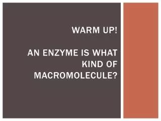 Warm up! An enzyme is what kind of macromolecule?