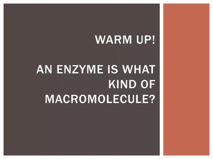 warm up an enzyme is what kind of macromolecule