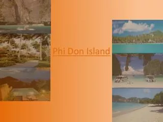 Phi Don Island