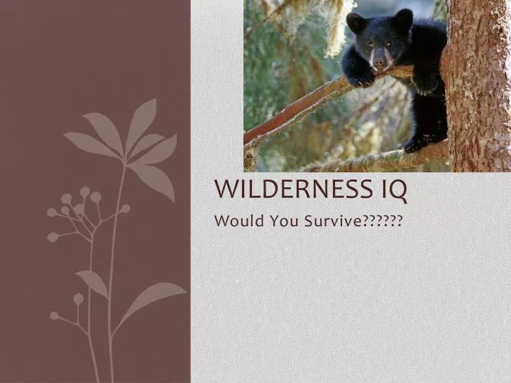 wilderness iq