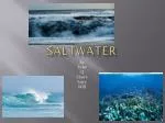 Saltwater - slide 1