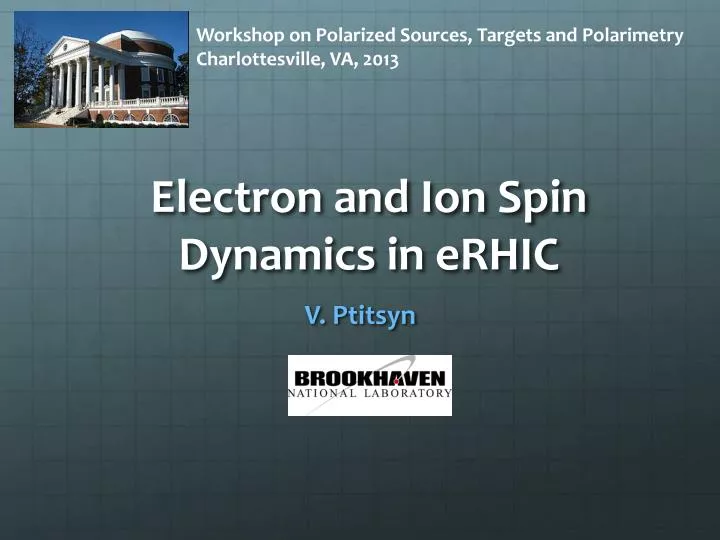 electron and ion spin dynamics in erhic
