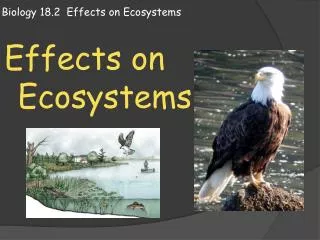 Biology 18.2 Effects on Ecosystems