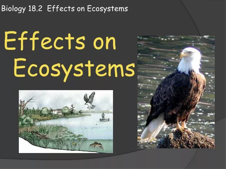 biology 18 2 effects on ecosystems