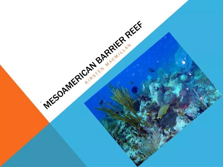 00 mesoamerican barrier reef