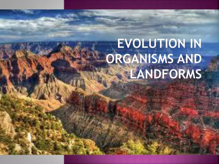 evolution in organisms and landforms