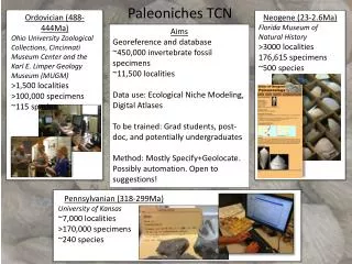 Paleoniches TCN