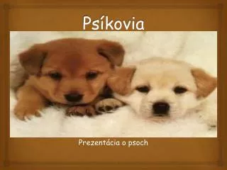 ps kovia