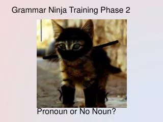 Grammar Ninja Training Phase 2