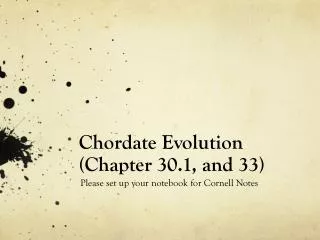 Chordate Evolution (Chapter 30.1, and 33 )