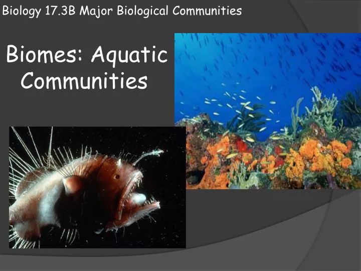 biology 17 3b major biological communities