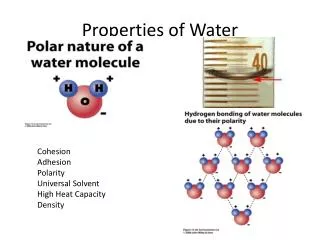 Properties of Water