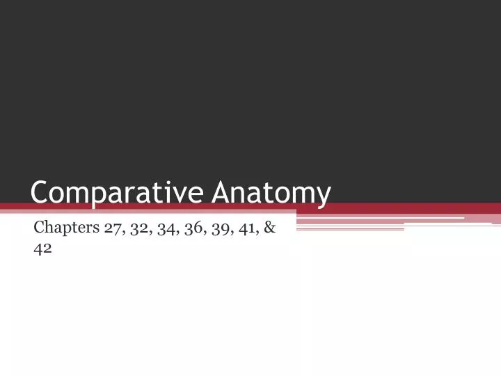 comparative anatomy