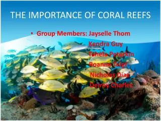 THE IMPORTANCE OF CORAL REEFS