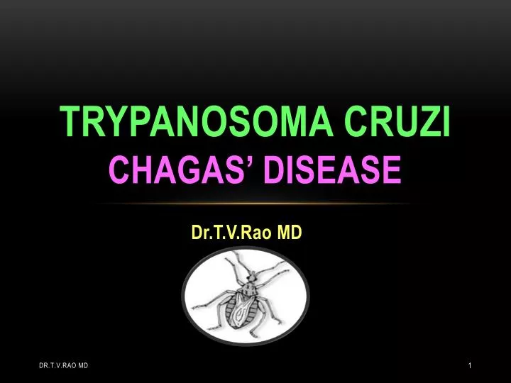 trypanosoma cruzi chagas disease