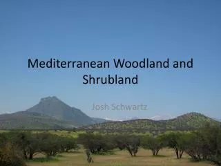 Mediterranean Woodland and Shrubland