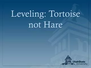Leveling: Tortoise not Hare