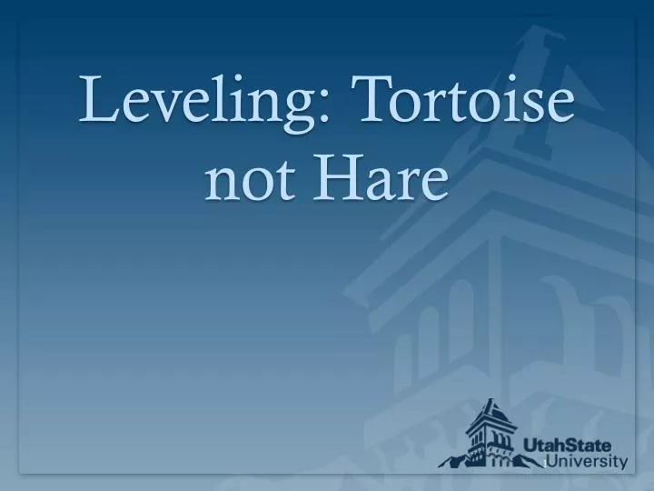 leveling tortoise not hare