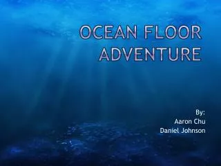 Ocean Floor Adventure