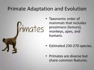 Primate Adaptation and Evolution