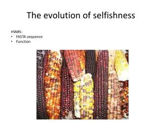 The evolution of selfishness