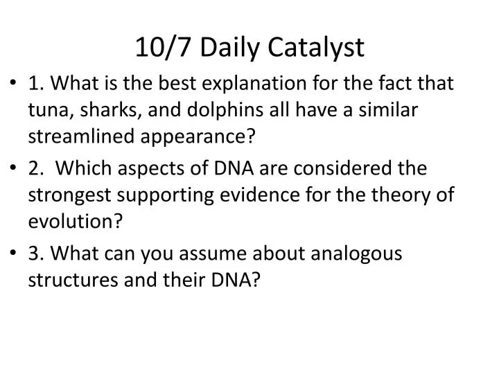 10 7 daily catalyst