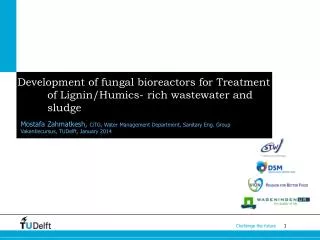 Development of fungal bioreactors for Treatment of Lignin/ Humics - rich wastewater and sludge