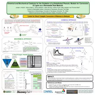 Primary lignin monomers