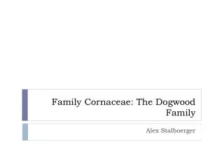 Family Cornaceae : The Dogwood Family