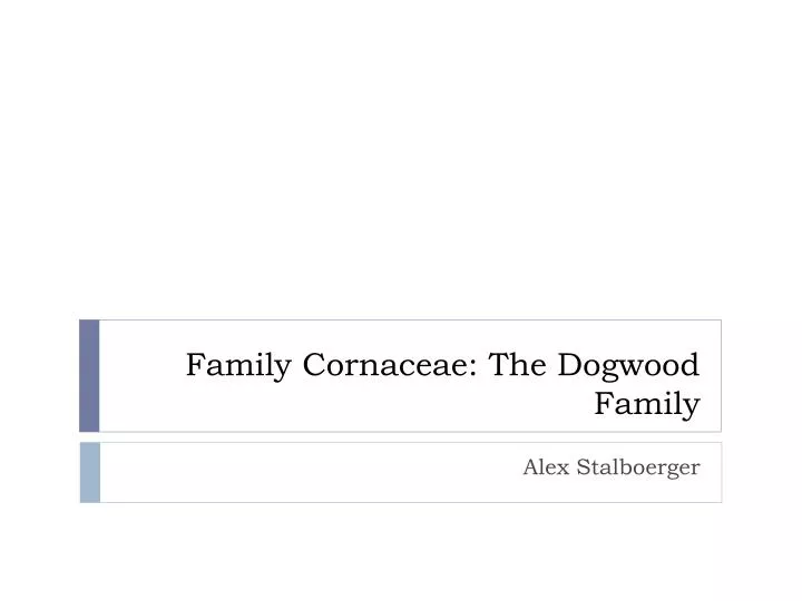 family cornaceae the dogwood family