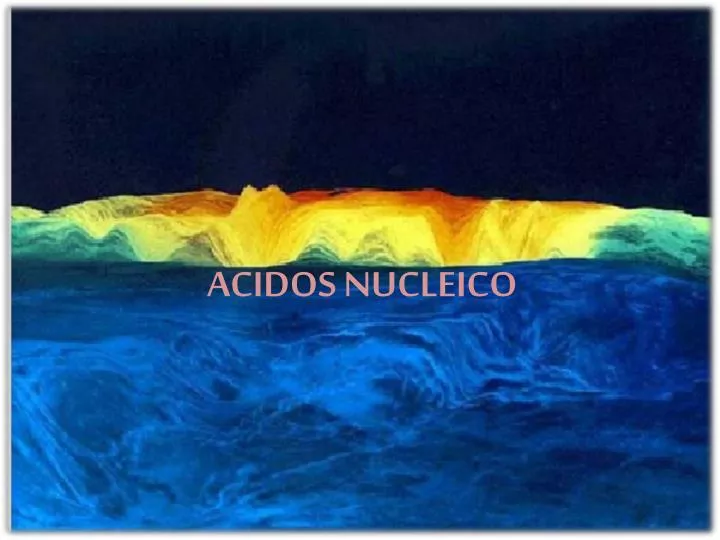 acidos nucleico