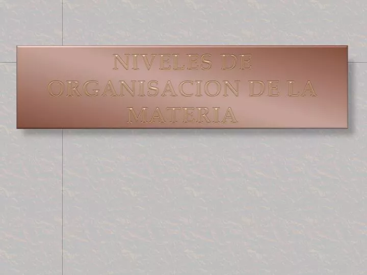 niveles de organisacion de la materia