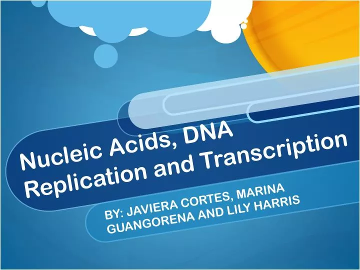 nucleic acids dna replication and transcription