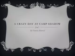 A crazy day at camp shadow