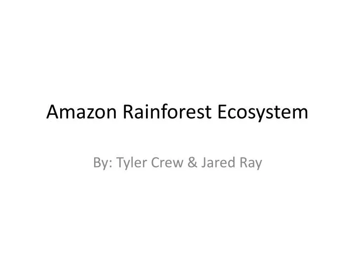 amazon rainforest ecosystem